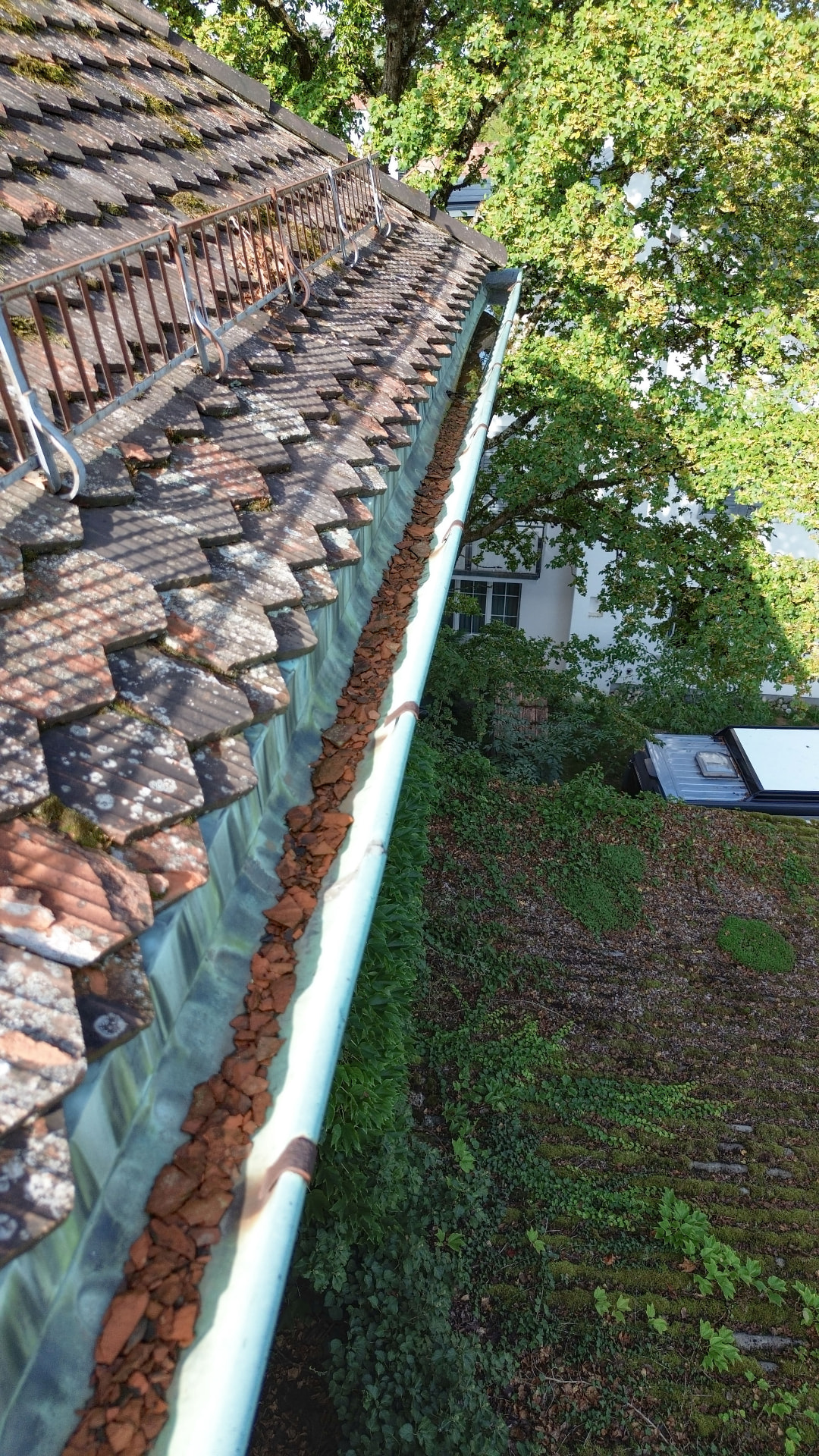 Verschmutzte Dachrinne vor der Reinigung