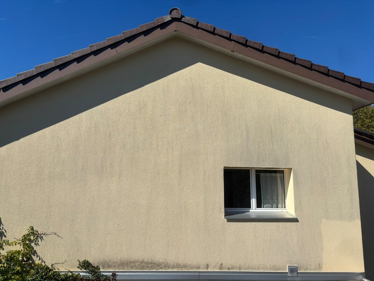 Giebelfassade vor der Reinigung