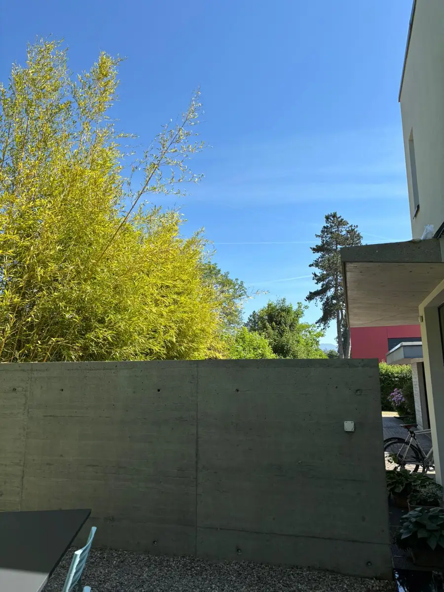 Gereinigte Betonmauer nach der Entfernung von Moos und Belag