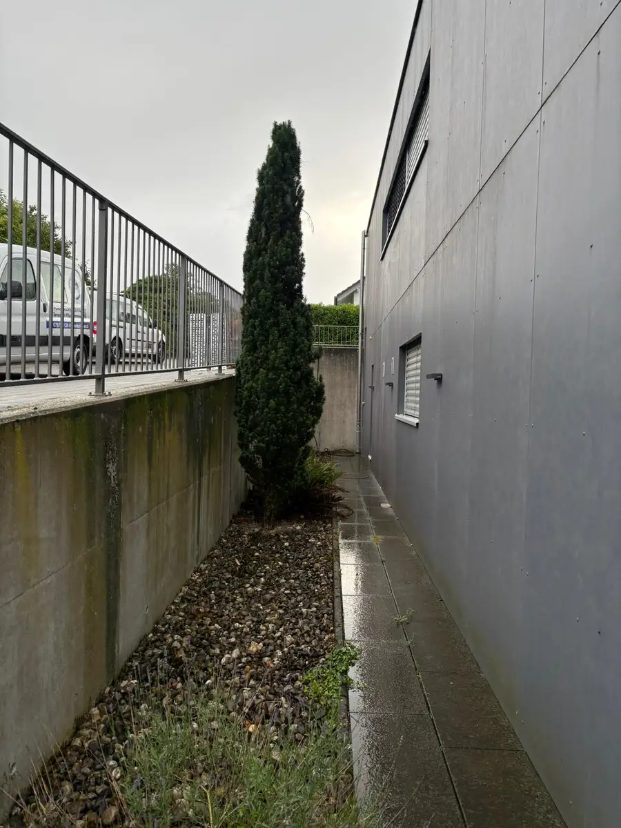 Verschmutzte Betonmauer vor der Reinigung