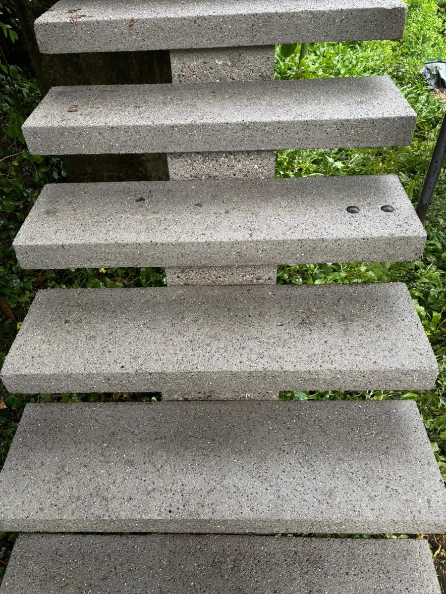 Aussentreppe nach der Moosentfernung